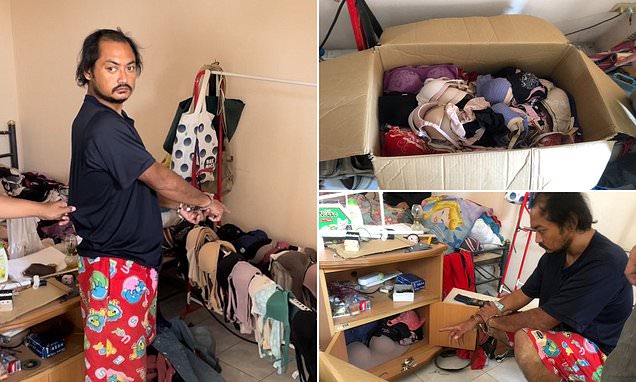 Prolific underwear thief is arrested for stealing thousands of bras and pants during 20-year crime spree (photos)