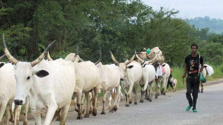 Benue State Security Council issues 14-day quit notice to herders