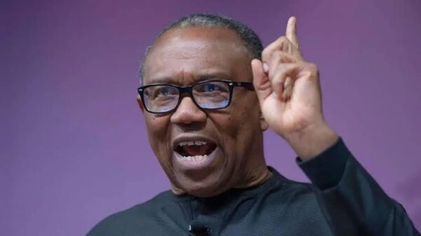 Stop the arbitrary and ever-increasing customs duties. It is now negatively impacting businesses and the cost of items- Peter Obi tells FG