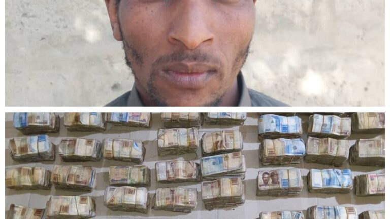 Troops arrest notorious terrorists’ gunrunner with N31m cash in Niger Republic