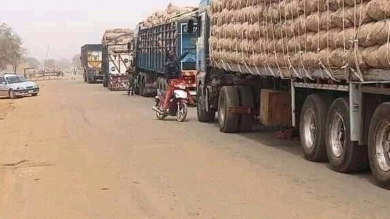 Customs intercepts 15 trucks of food items in Sokoto