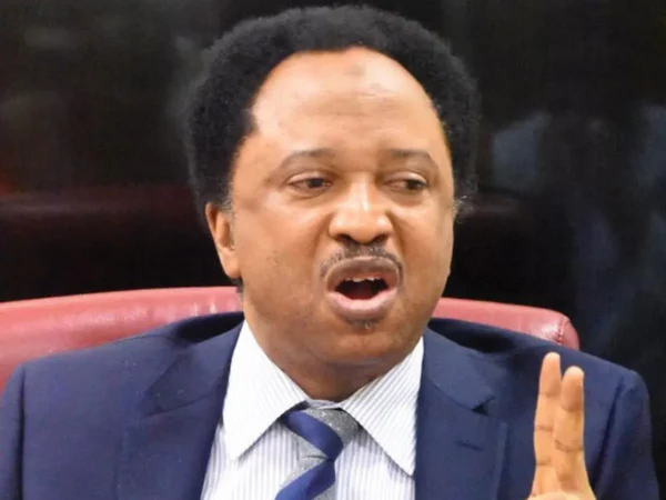 Most of the state ruling party thugs will be recruited into the state police – Senator Shehu Sani