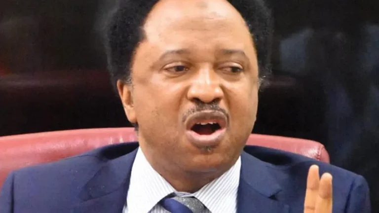 Most of the state ruling party thugs will be recruited into the state police – Senator Shehu Sani