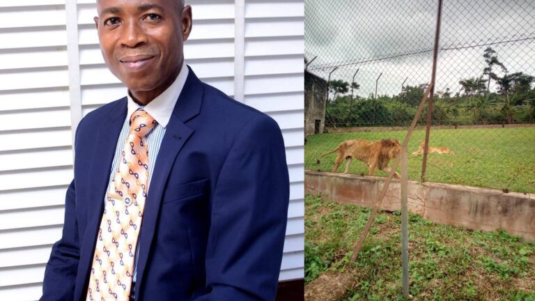 Lion kills OAU zoo keeper while feeding animals