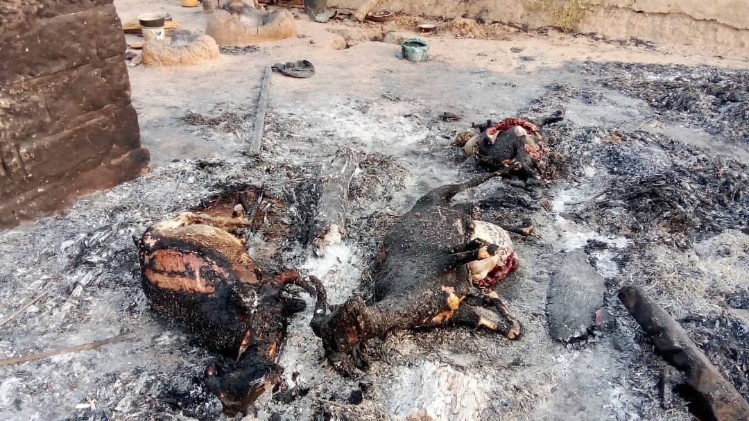 Bandits raze 30 houses, cattle, food items in Niger State community